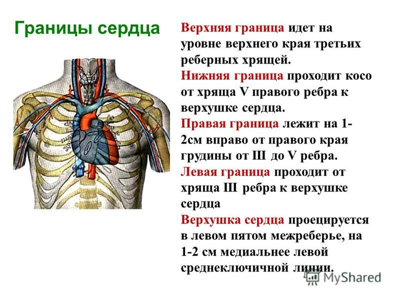 Биполярный транзистор своими руками Биполярный транзистор своими руками