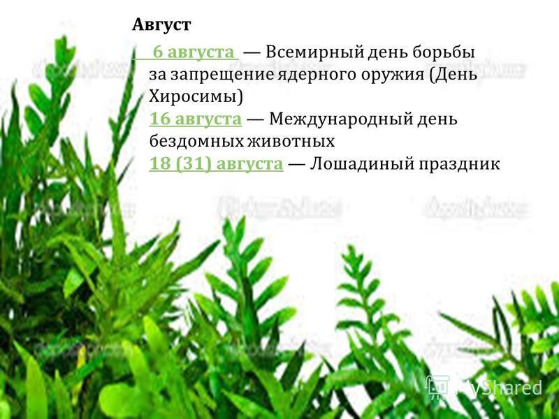 Экологические праздники август Экологические праздники август