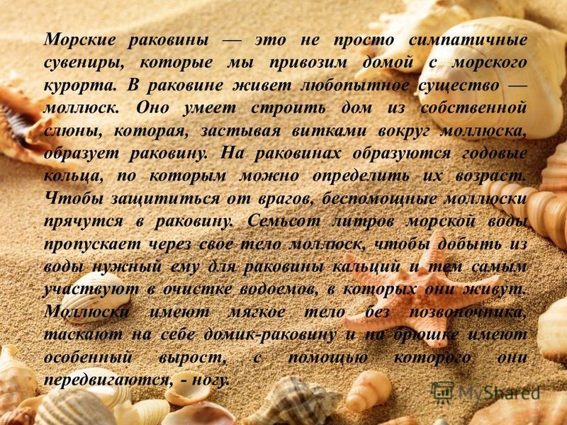 В раковине живет В раковине живет