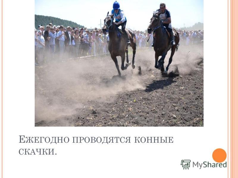 Головна - svitua Вход на сайт видео ролик TeachVideo