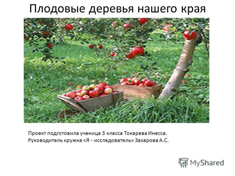Виртуальный флоппи дисковод бесплатная программа 88 Виртуальный флоппи дисковод бесплатная программа 61