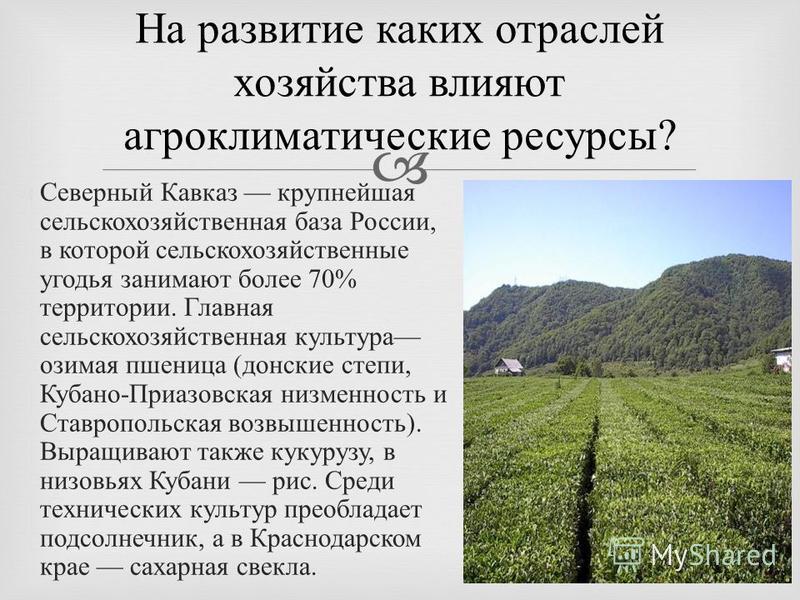 Агроклиматические Ресурсы России Карта