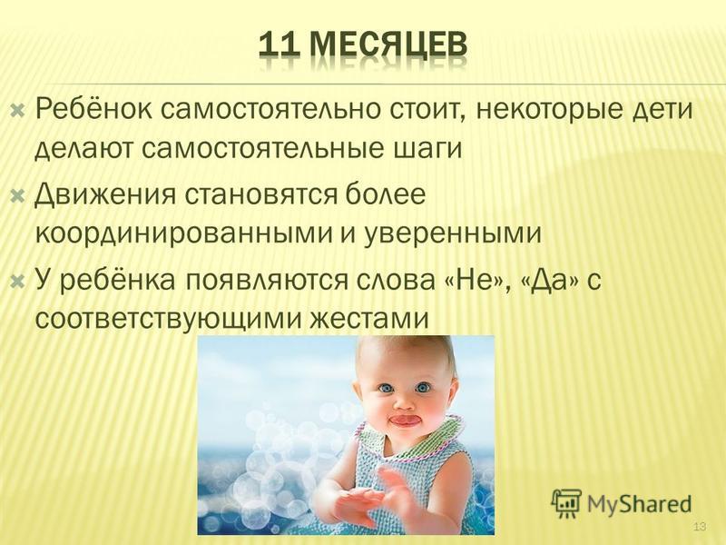 Как отстирать палас в домашних условиях Как отстирать палас в домашних условиях