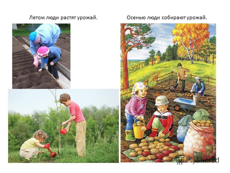 Как собирали урожай песня Как собирали урожай песня