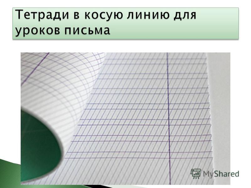 Виды тетрадей
