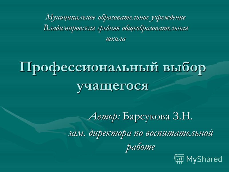 Профессиональный выбор учащегося Автор: Барсукова З.Н. зам. директора по воспитательной работе Муниципальное образовательное учреждение Владимировская