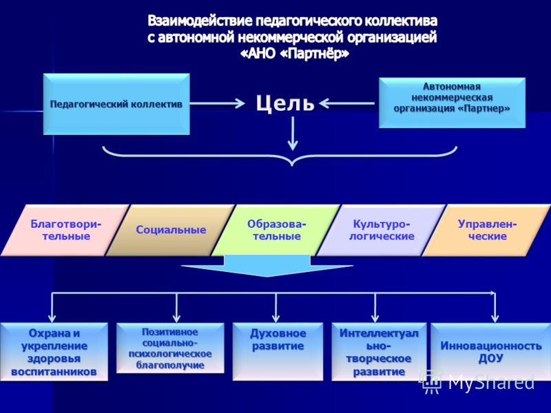 Автономная некоммерческая организация «Партнер» Благотвори- тельные Социальные Образова- тельные Культуро- логические Управлен- ческие Педагогический 