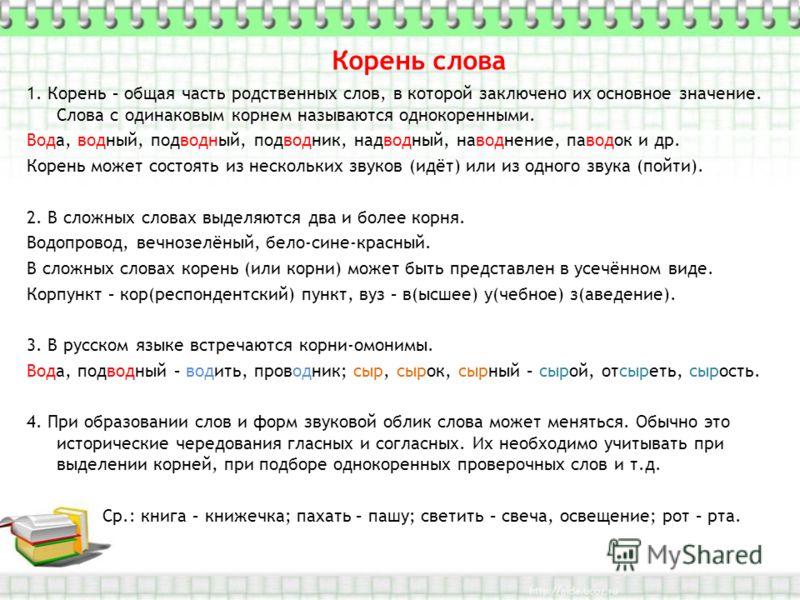 Слова с корнем шей Слова с корнем шей