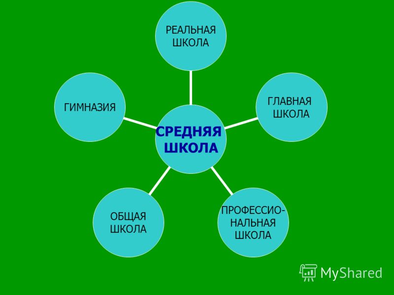 Необязательные предметы в школе в 2019 году Необязательные предметы в школе в 2019 году