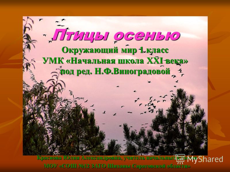 Портфолио дополнительного образрвания