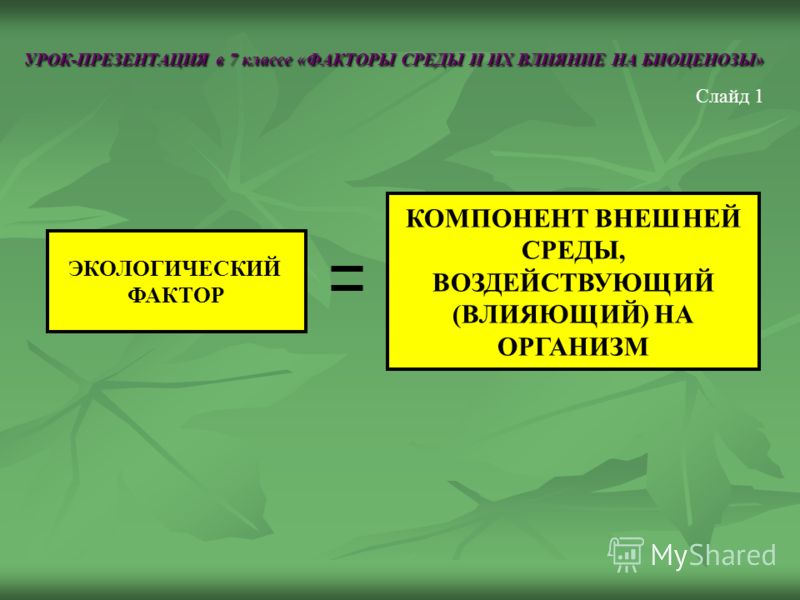 Афанасьева михеева 5 класс планирование