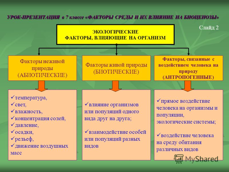 Английский язык 4 класс стихи