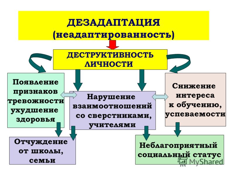 Маска на живот для похудения с медом Маска на живот для похудения с медом