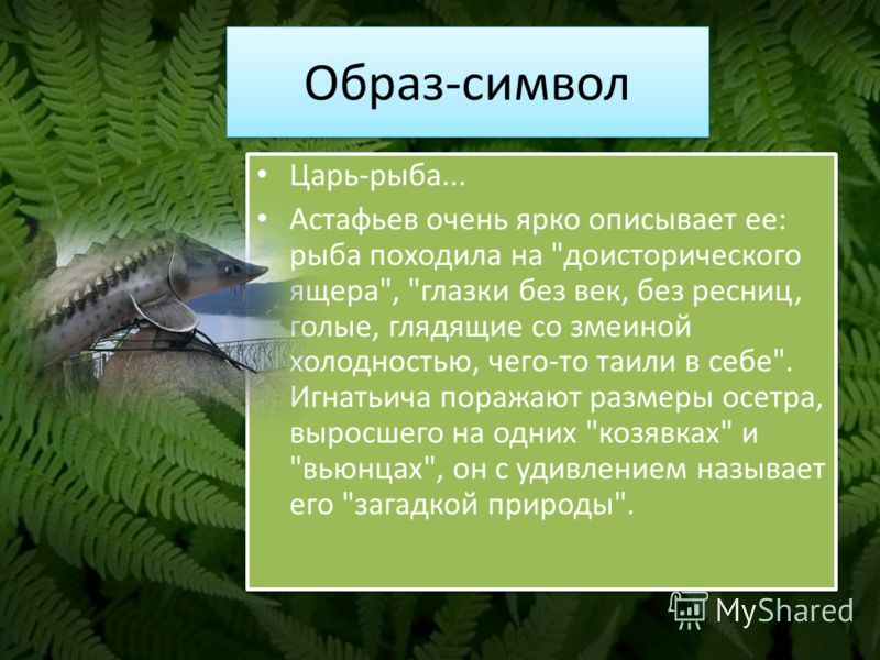 Царь Рыба скачать Txt