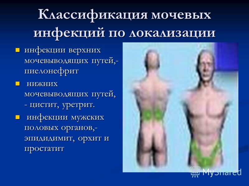 Шум в левом ухе причины и лечение в домашних условиях