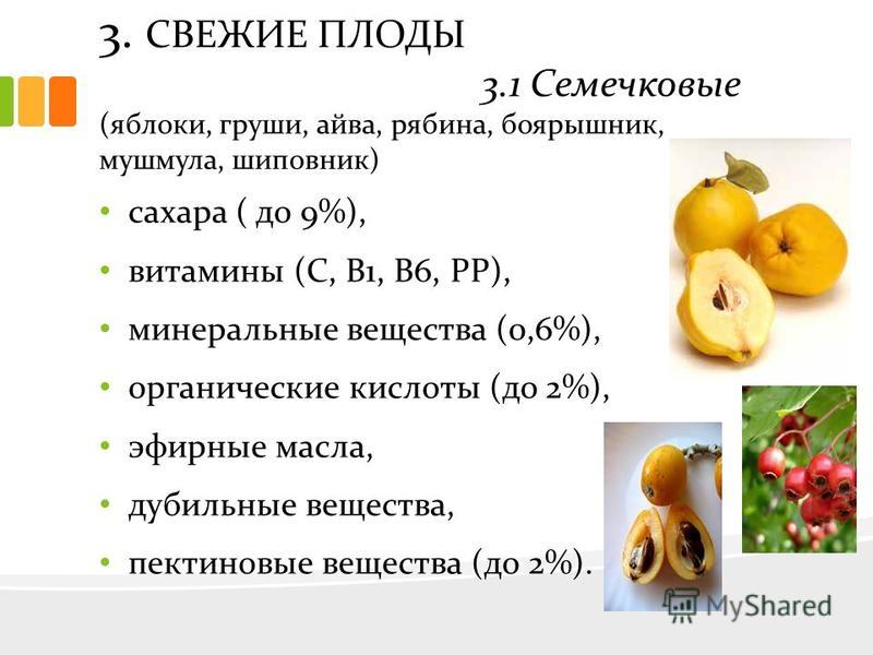 Реферат: Плодоовощные товары экзотические фрукты