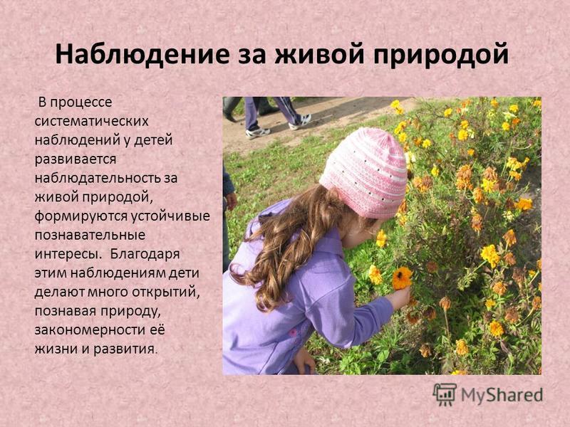 Что Такое Наблюдательность Своими Словами - 65 фото