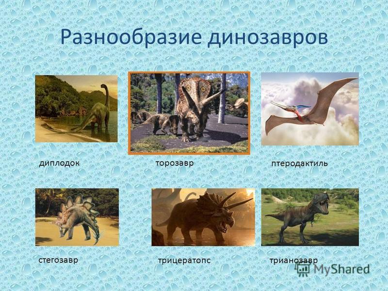 Разнообразие динозавров диплодокторозавр птеродактиль стегозавр трицератопстрианозавр