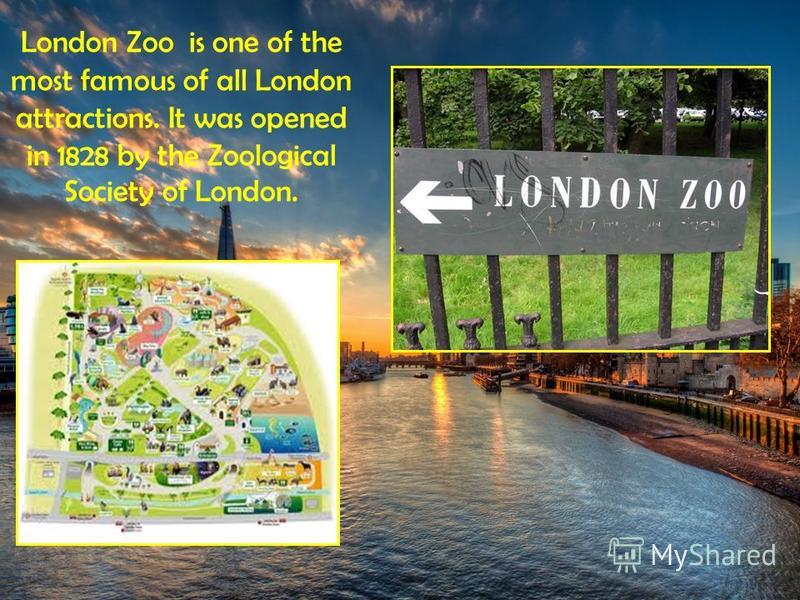 London Zoo is one of the most famous of all London attractions. It was opened in 1828 by the Zoological Society of London.
