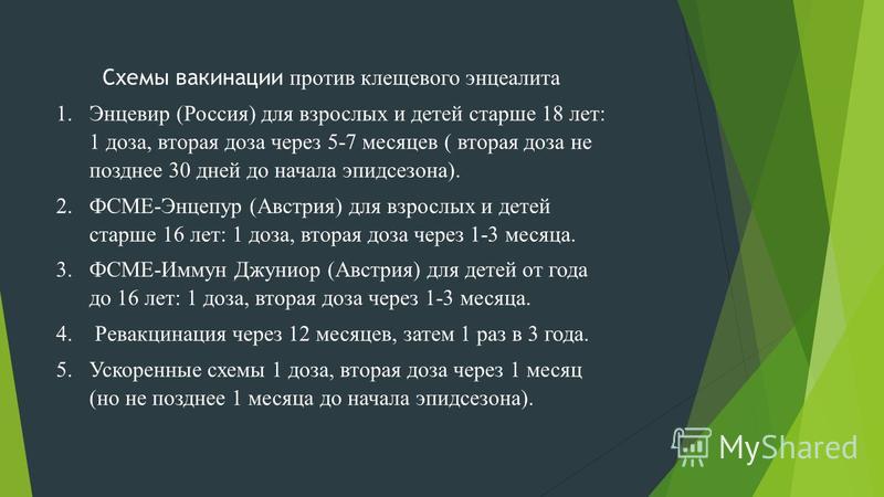 Схема прививок против клещевого энцефалита Схема прививок против клещевого энцефалита