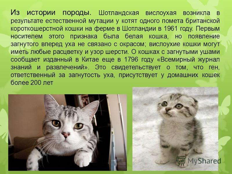 Можно ли пить алкоголь после удаления зуба: через сколько Маски для лица от прыщей - домашние рецепты масок против