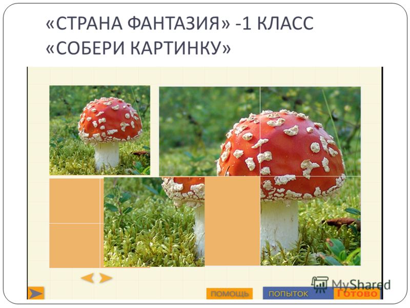Презентация урока по русскому языку с наглядным материалом