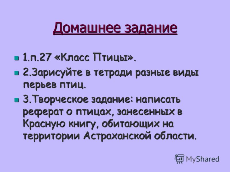 Доклад про птиц для 1 класса Доклад про птиц для 1 класса