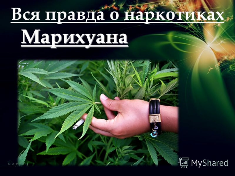 учащенное сердцебиение паника