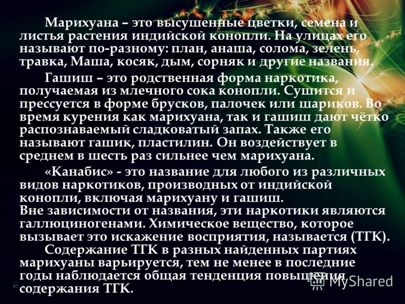 Марихуана – это высушенные цветки, семена и листья растения индийской конопли. На улицах его называют по-разному: план, анаша, солома, зелень, травка,