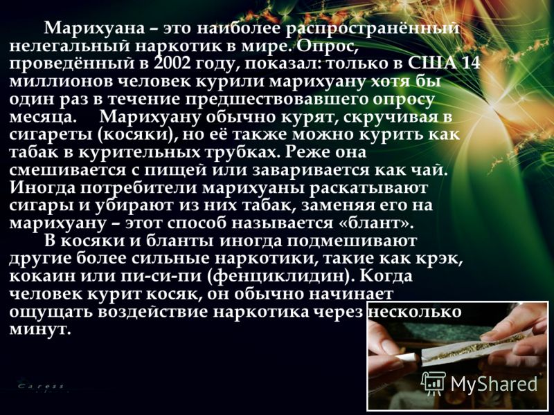 Марихуана – это наиболее распространённый нелегальный наркотик в мире. Опрос, проведённый в 2002 году, показал: только в США 14 миллионов человек кури