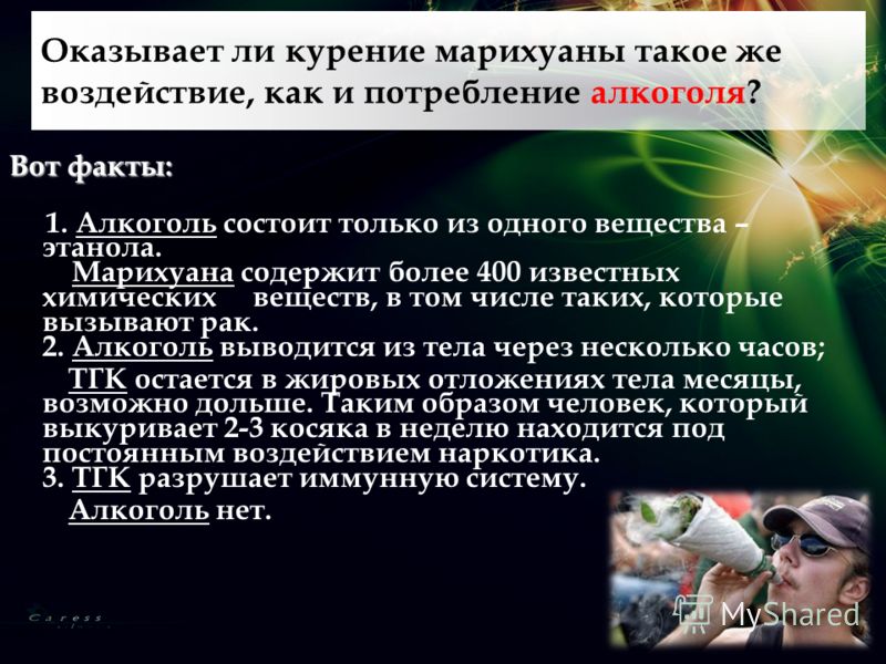 Вот факты: 1. Алкоголь состоит только из одного вещества – этанола. Марихуана содержит более 400 известных химических веществ, в том числе таких, кото