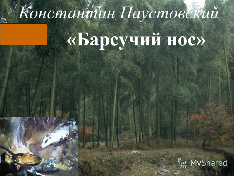 носов незнайка и его друзья слушать онлайн носов незнайка и его друзья слушать онлайн