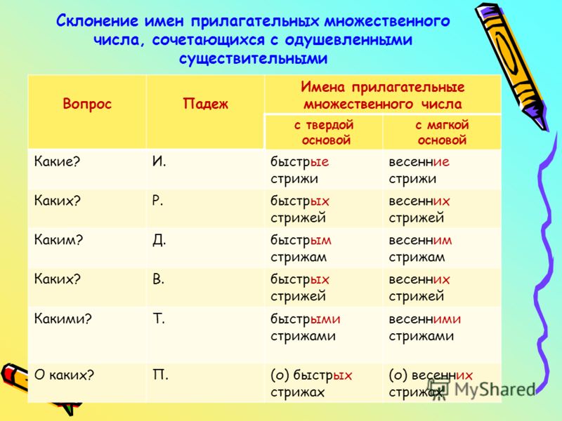 Урок Русского Языка Прилагательное Как Часть Речи