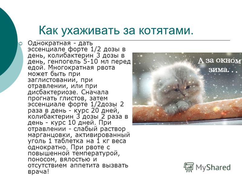 Смотреть документальные фильмы о конс лагерях