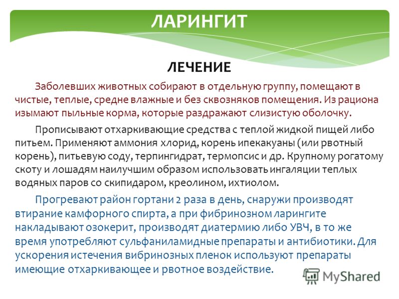 Глазная болезни век и их лечение