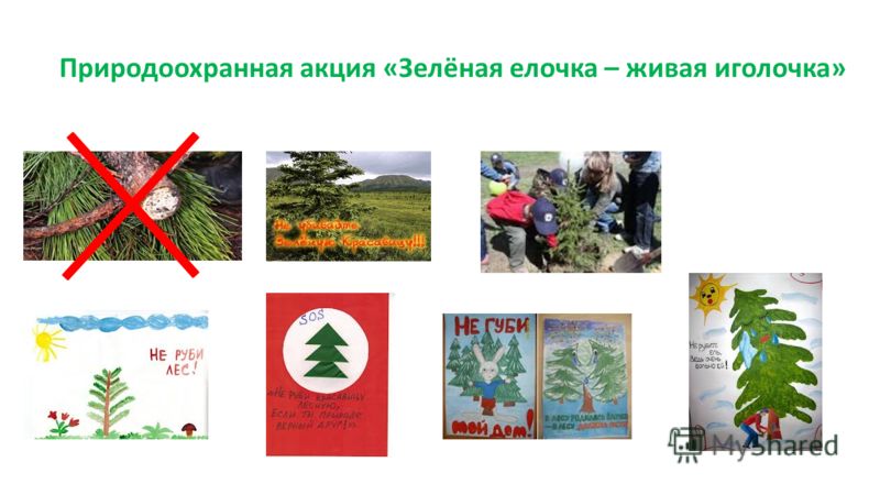 Виды дидактических игр по химии презентация: Новинки книжного мира Виды дидактических игр по химии презентация