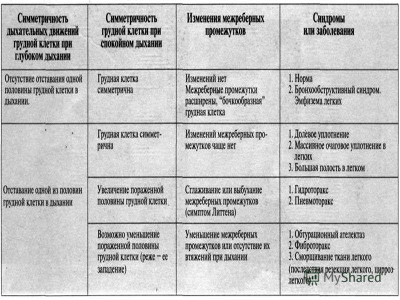 Осмотр и пальпация позвоночника Осмотр и пальпация позвоночника