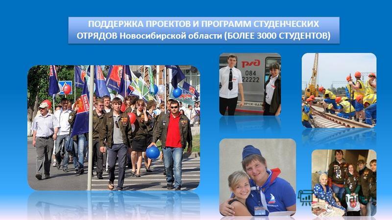 Конкурса социально значимых проектов по новосибирской области Конкурса социально значимых проектов по новосибирской области