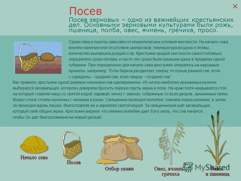 Средство для ухода за ногтями Геволь (раньше - Герлан) Сонник онлайн: толкование снов и значение