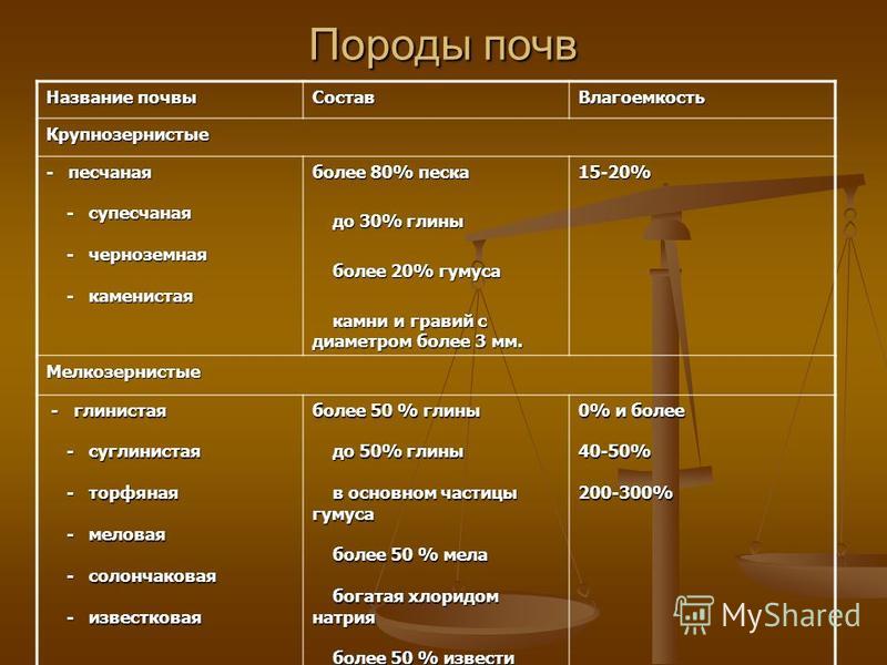 Гигиена Воды И Почвы Реферат Гигиена Воды И Почвы Реферат