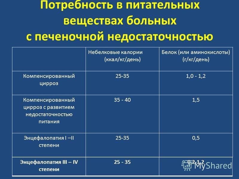 Карликовый Пудель Почечная Недостаточность Диета