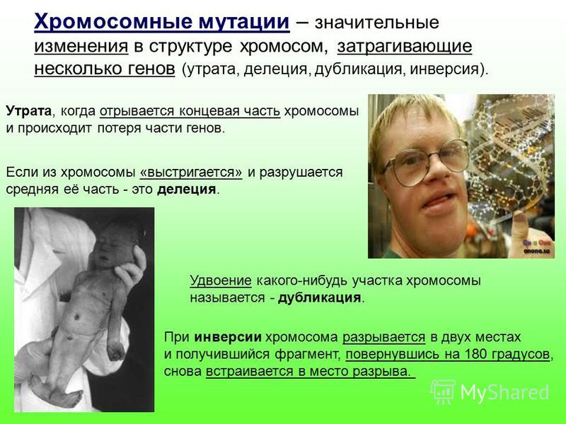Выкройки жакетов - кардиганов (подборка) - Вторая Улица Все для всех Все для всех: Здоровье, отношения, диеты, дети