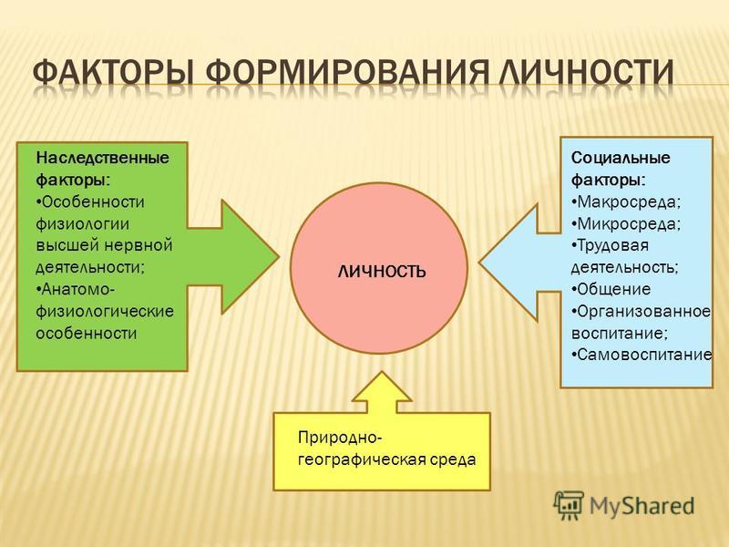 shop Культурология