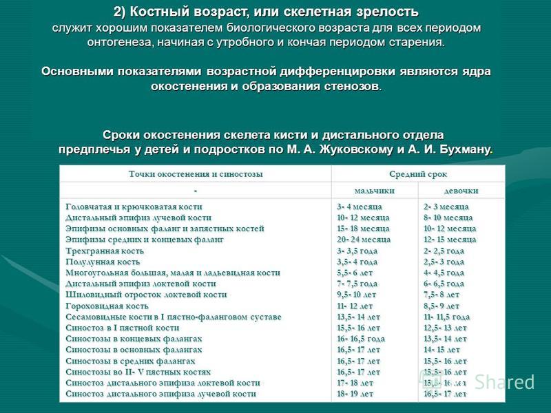 Костный возраст кистей