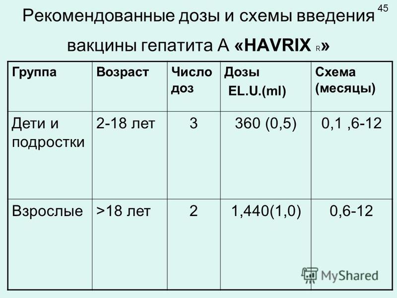 Гепатит б схема вакцинации взрослым Гепатит б схема вакцинации взрослым