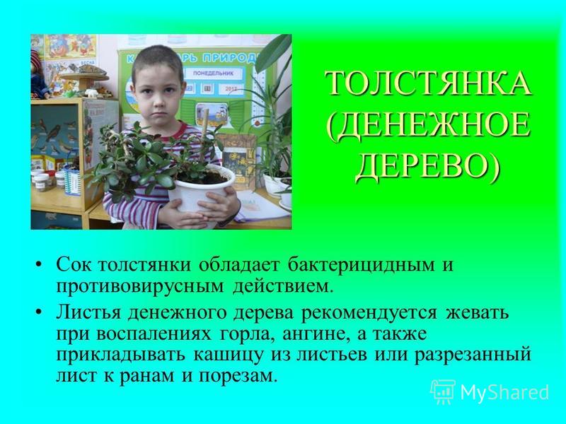 борьба паразитами в человеке борьба паразитами в человеке