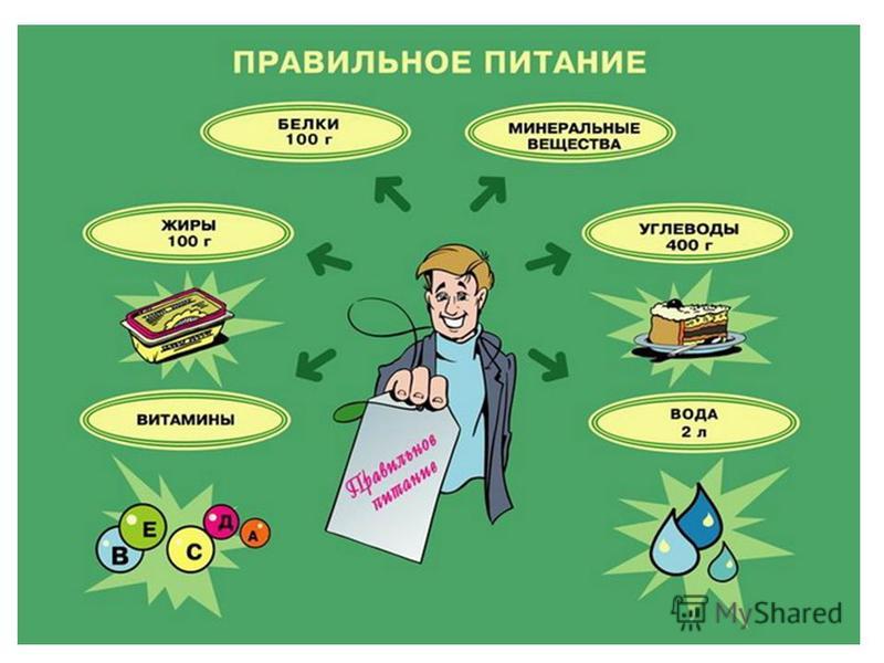 основные правила питания для похудения основные правила питания для похудения