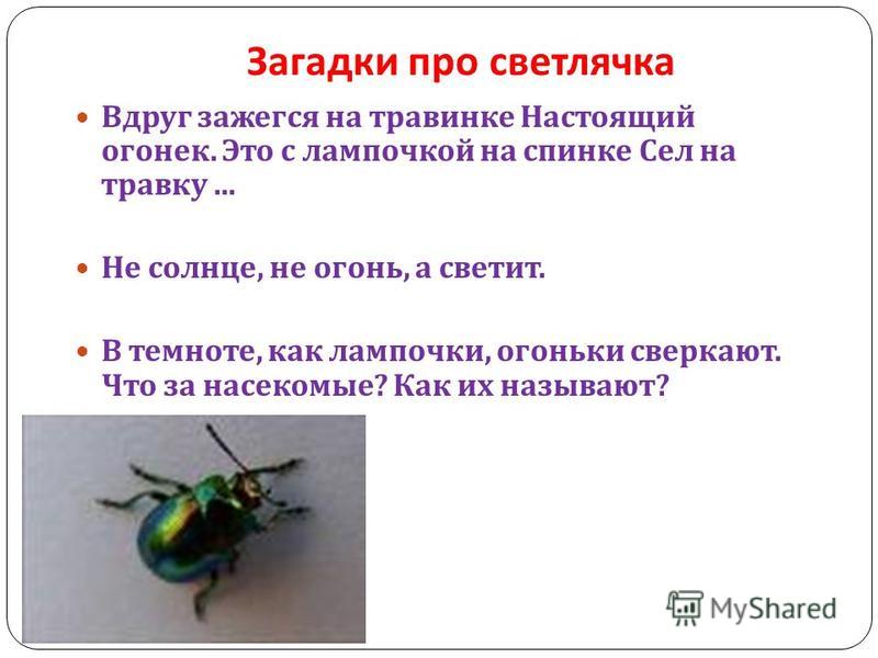 Стих поздравление с днем рождения учителя мужчину Стих поздравление с днем рождения учителя мужчину