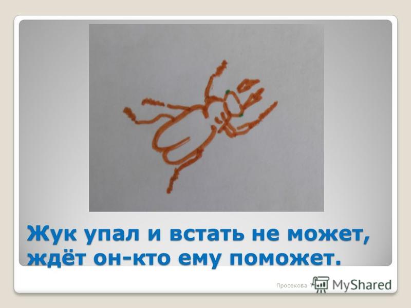картинки у ежа ежата у ужа ужата онлайн картинки у ежа ежата у ужа ужата