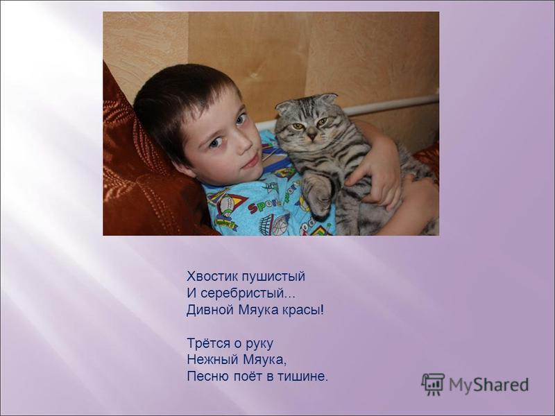 К нежным своим приручил рукам К нежным своим приручил рукам